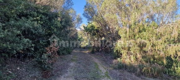 Земельный участок 160000м² в Ольбия, Италия № 144000 5