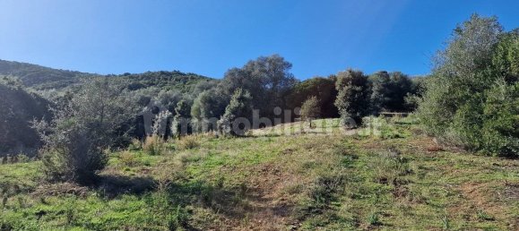 Земельный участок 160000м² в Ольбия, Италия № 144000 12