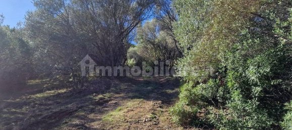 Земельный участок 160000м² в Ольбия, Италия № 144000 2