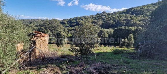 Земельный участок 160000м² в Ольбия, Италия № 144000 7