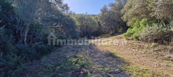 Земельный участок 160000м² в Ольбия, Италия № 144000 16