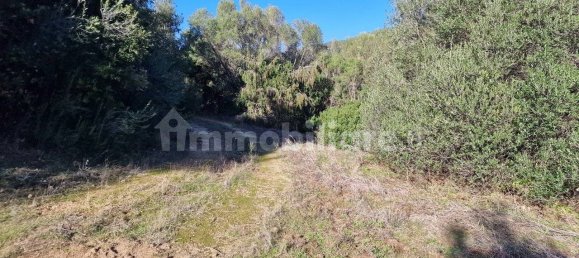 Земельный участок 160000м² в Ольбия, Италия № 144000 18