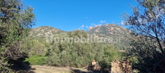 Земельный участок 160000м² в Ольбия, Италия № 144000 3