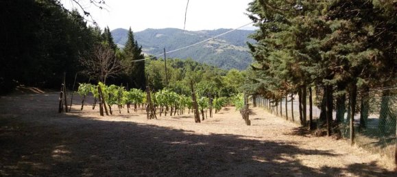 4 rooms House in Monte Santa Maria Tiberina, Italy No. 21964 3