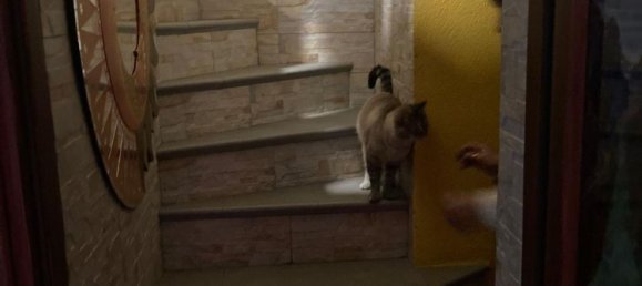 Dúplex de 3 habitaciónes en Avise, Italy No. 301515 12