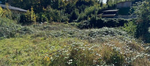 Terrain à Gmunden, Austria 1814m² No. 71062 2