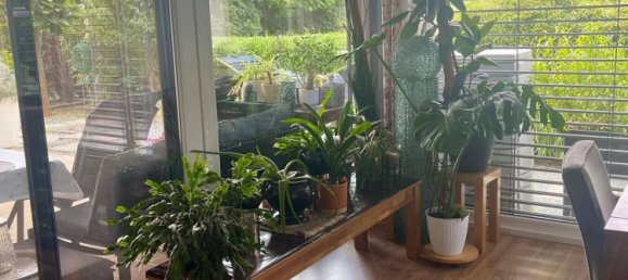 4 rooms Bungalow in Eberau, Austria No. 210220 16