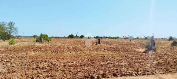 Вилла с 3 спальнями в Copertino, Италия № 280619 9