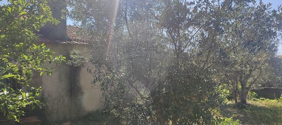 3 bedrooms House in Alvaiazere, Portugal No. 17893 7