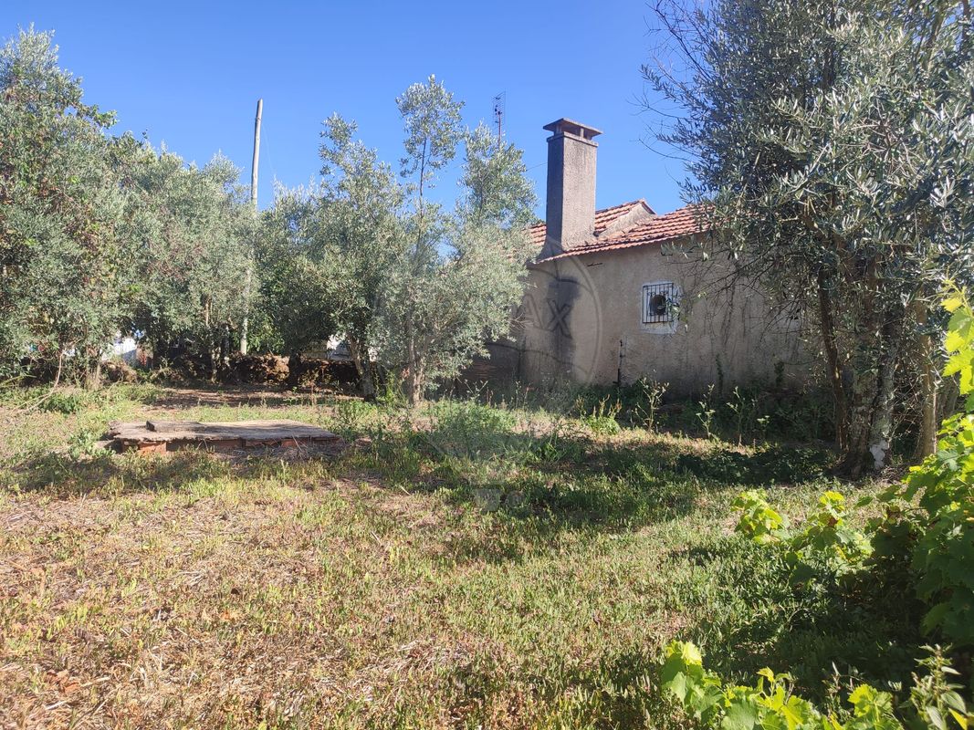 3 bedrooms House in Alvaiazere, Portugal No. 17893