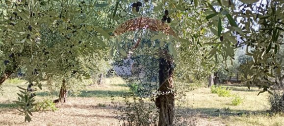 Terreno em Lanciano, Italy 1800 m² N.º 380126 8