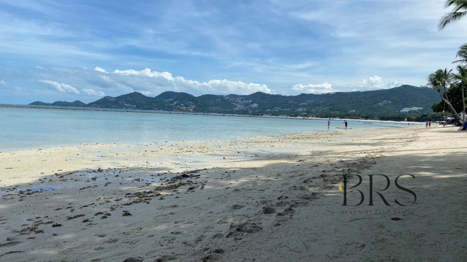  Commercial property in Ko Samui, Thailand No. 5649