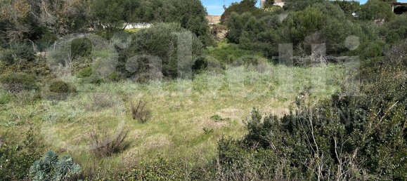 Terrain à Santa Teresa Gallura, Italy 6705m² No. 47631 6