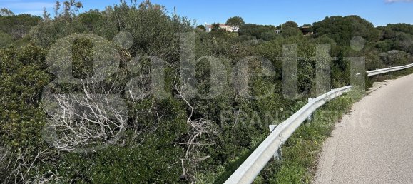 Terrain à Santa Teresa Gallura, Italy 6705m² No. 47631 7