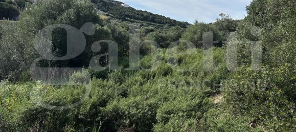 Terrain à Santa Teresa Gallura, Italy 6705m² No. 47631 10