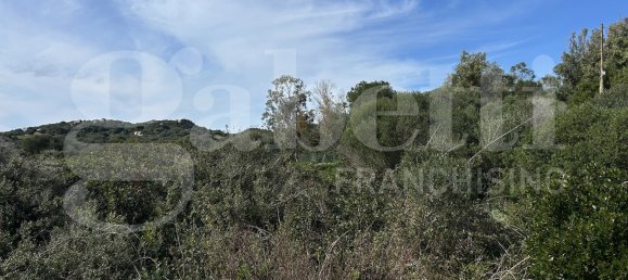 Terrain à Santa Teresa Gallura, Italy 6705m² No. 47631 3