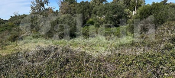 Terrain à Santa Teresa Gallura, Italy 6705m² No. 47631 4