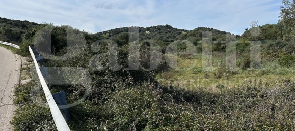 Terrain à Santa Teresa Gallura, Italy 6705m² No. 47631 5