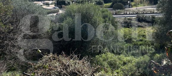 Terrain à Santa Teresa Gallura, Italy 6705m² No. 47631 8