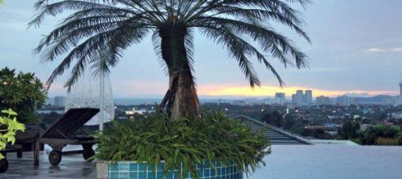 5 bedrooms Cafe / restaurant in Pattaya, Thailand No. 1563 20