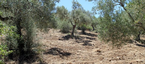 9000m² Hotel in Chalkidiki, Greece No. 7687 10