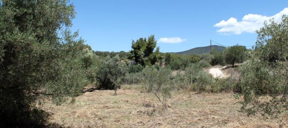 9000m² Hotel in Chalkidiki, Greece No. 7687 7