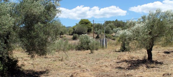 9000m² Hotel in Chalkidiki, Greece No. 7687 6