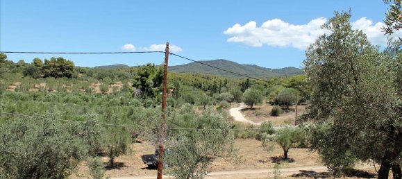 9000m² Hotel in Chalkidiki, Greece No. 7687 13