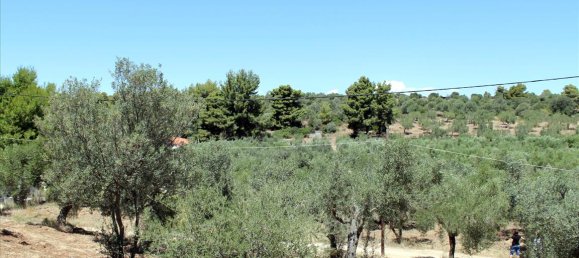 9000m² Hotel in Chalkidiki, Greece No. 7687 12