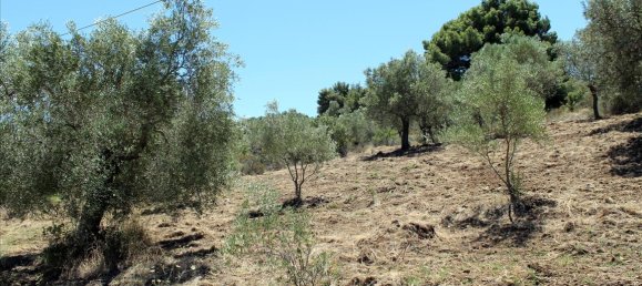 9000m² Hotel in Chalkidiki, Greece No. 7687 4