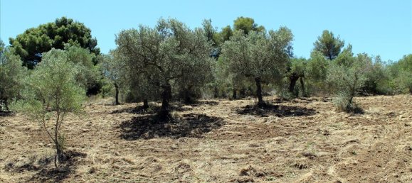 9000m² Hotel in Chalkidiki, Greece No. 7687 3