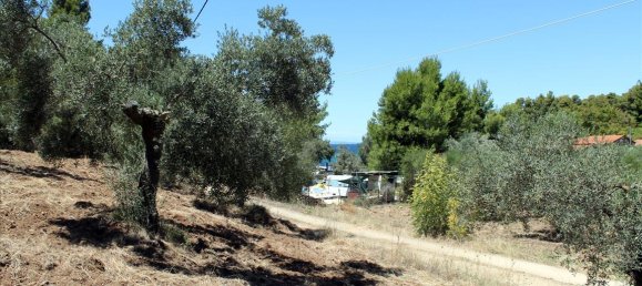 9000m² Hotel in Chalkidiki, Greece No. 7687 14