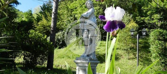 11 bedrooms Villa in Castelnuovo di Garfagnana, Italy No. 211053 4