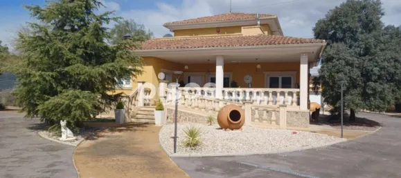 4 bedrooms House in Monovar, Spain No. 84018 45