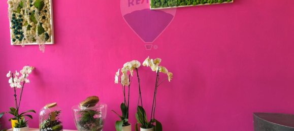 1 room Commercial property in Syracuse, Italy No. 243929 4