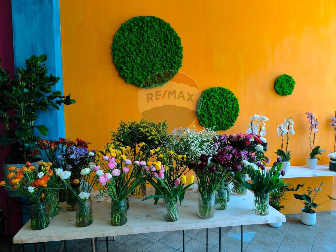 1 room Commercial property in Syracuse, Italy No. 243929