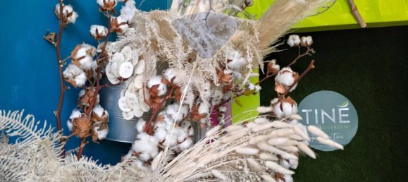 1 room Commercial property in Syracuse, Italy No. 243929 5