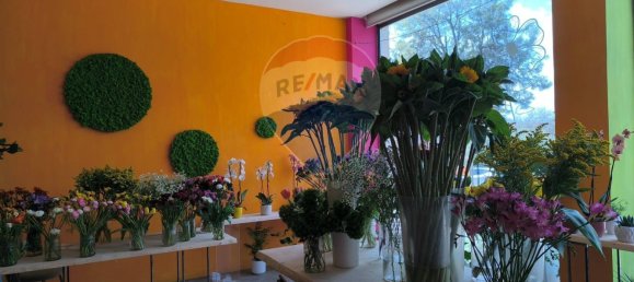 1 room Commercial property in Syracuse, Italy No. 243929 3