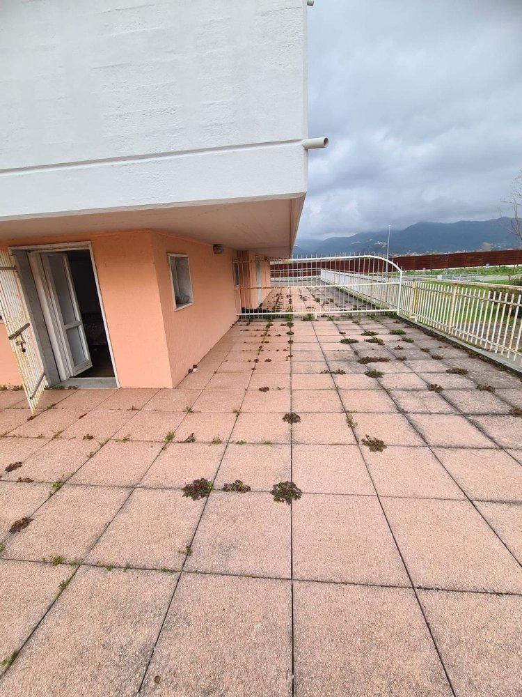 3 rooms Apartment in Luni, Italy No. 236418