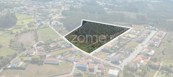 36892m² Land in Oliveira de Azemeis, Portugal No. 87154 2