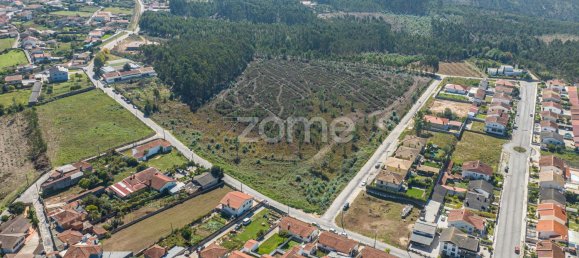 36892m² Land in Oliveira de Azemeis, Portugal No. 87154 3