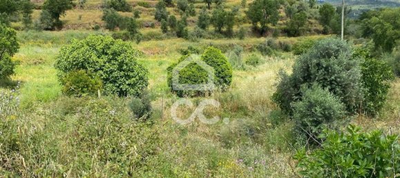 2 bedrooms House in Gaviao, Portugal No. 84749 25