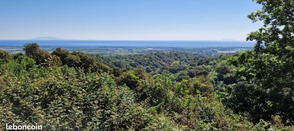 5 Schlafzimmer Haus in Sorbo-Ocagnano, France, Nr. 76341 13