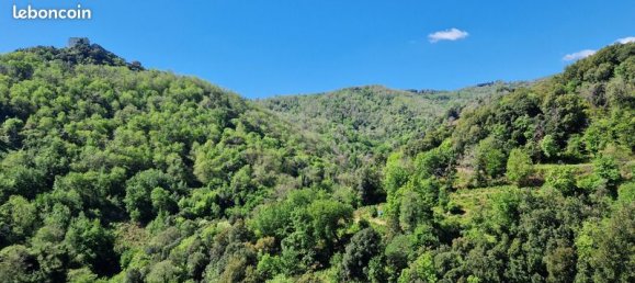5 Schlafzimmer Haus in Sorbo-Ocagnano, France, Nr. 76341 14