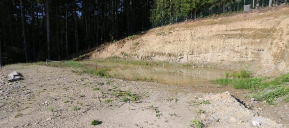  Land in Ferndorf, Austria No. 76784 5