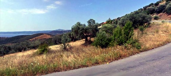 15000m² Hotel in Chalkidiki, Greece No. 5633 5