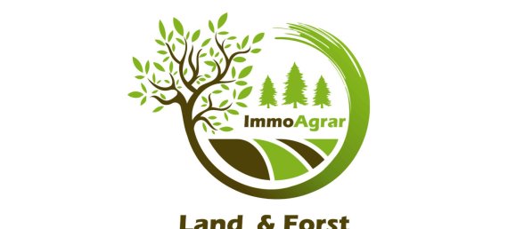  Land in Kyffhauserkreis, Germany No. 46768 3