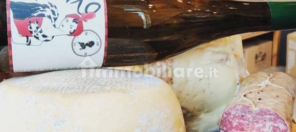 2-Zimmer Gewerbliche Immobilie in Rome, Italy, Nr. 222351 5