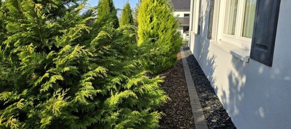 3 bedrooms Bungalow in Rhineland-Palatinate, Germany No. 199360 5