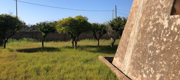 7-Zimmer Haus in Salve, Italy, Nr. 220361 31